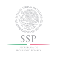SSP Logitrack. SSP